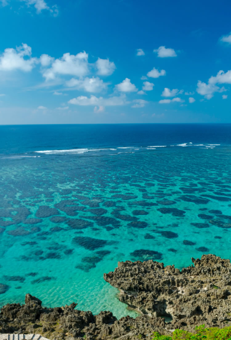 DISCOVER OKINAWA