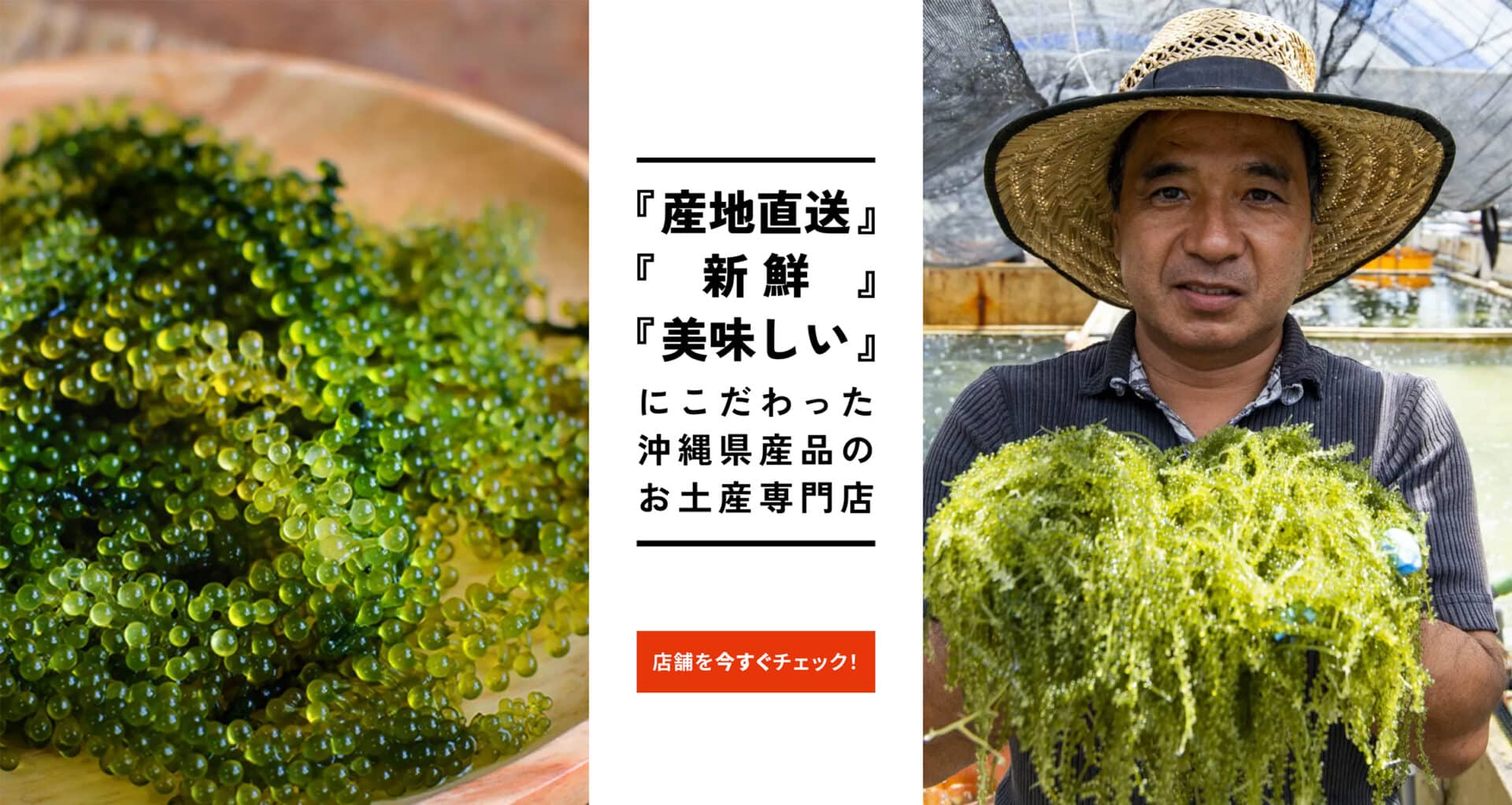 【沖縄 ホームページ制作 実績】沖縄産直市場